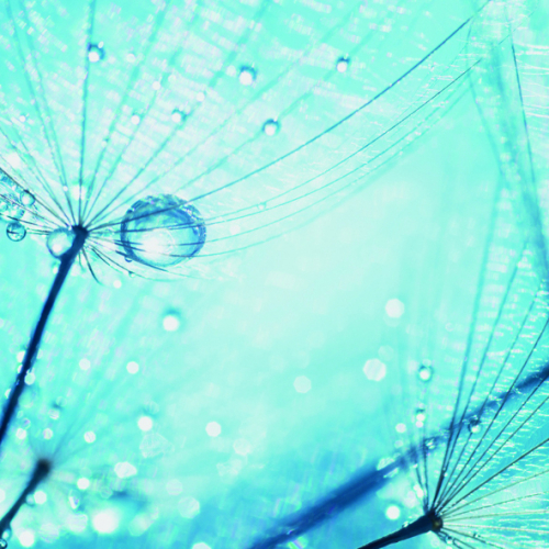 Immagine 9